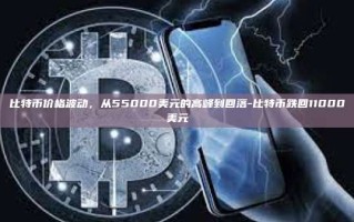 比特币价格波动，从55000美元的高峰到回落-比特币跌回11000美元